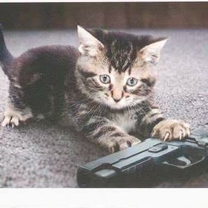 Meet your Posher, Rubma